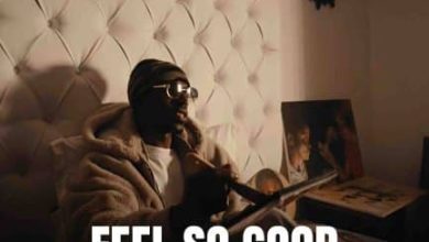 The F.A.K.E ft. Chef 187 – Feel So Good