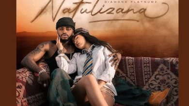 Diamond Platnumz - Natulizana