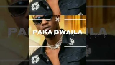 Sky Dollar – Paka Bwaila