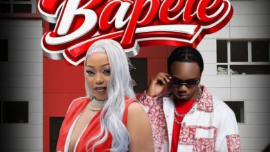 Rockstone ft. Driemo - Bapele